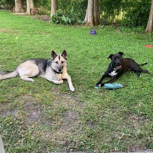 Meet your Posher, Stacey